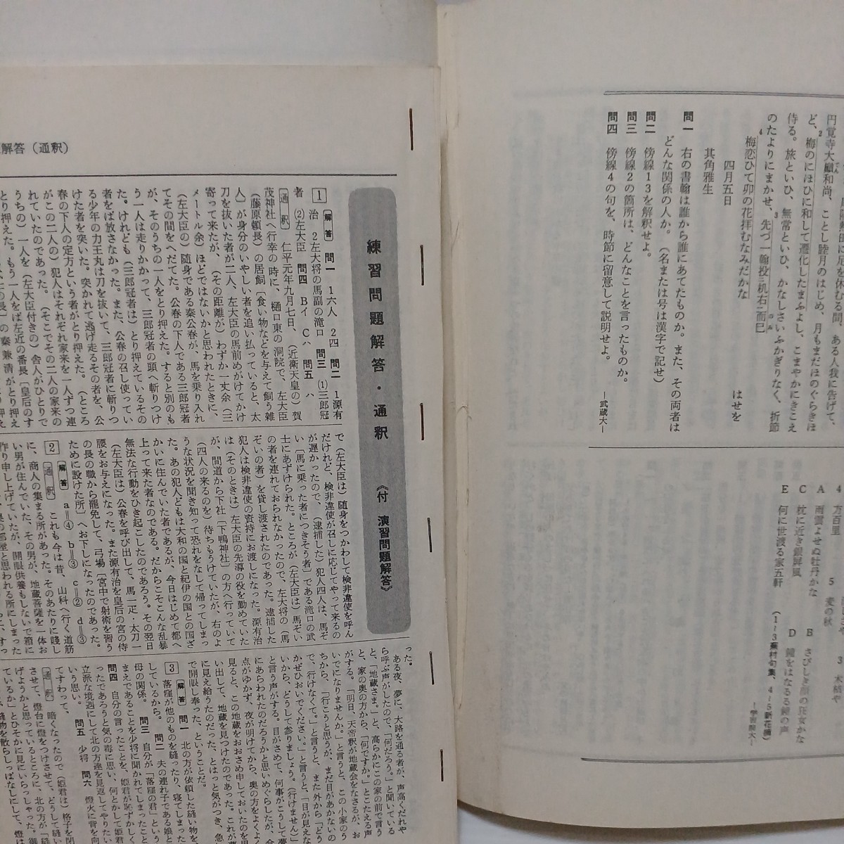  put on eye . thought person old writing. ... wistaria . basis * Watanabe real work Showa era 51 year 