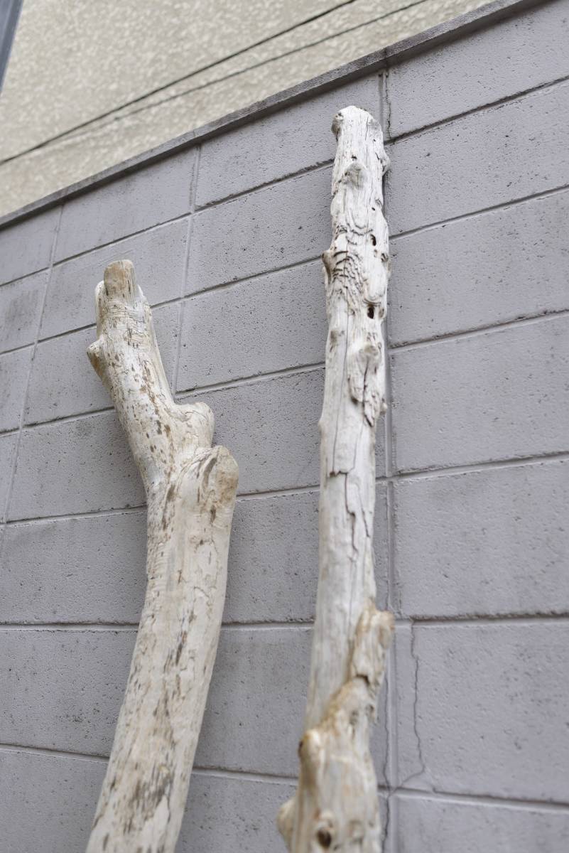 SEASIDEinterior☆長め流木2本セット,Cool driftwood for decorating 124_流木インテリア！