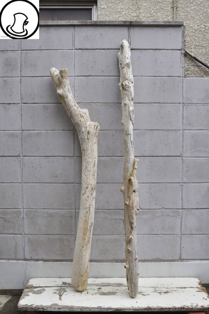 SEASIDEinterior☆長め流木2本セット,Cool driftwood for decorating 124_SEASIDEinterior！