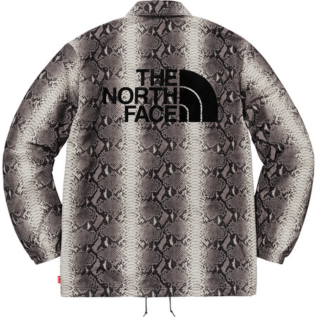 Supreme × The North Face 18SS Snakeskin Taped Seam Coaches Jacket