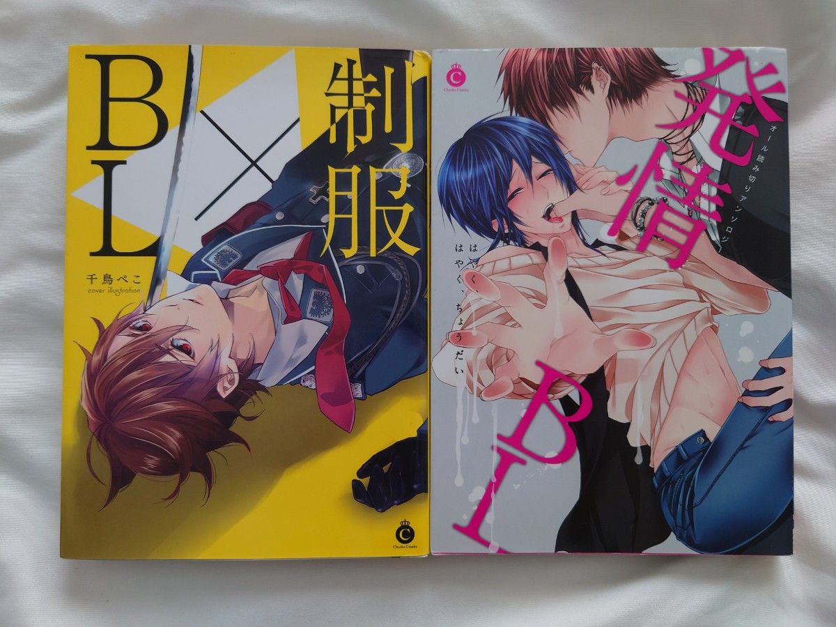 BLコミック 38冊セット バラ売り可 - 女性漫画