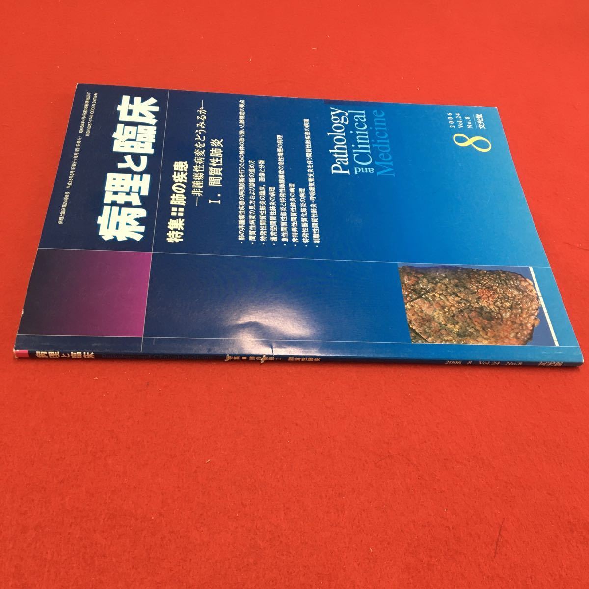 M6a-283 病理と臨床 2006年8月号 特集:肺の疾患 非腫瘍性病変をどうみるか I.間質性肺炎 医学 医療 病理学 臨床学 診断 治療 文光堂_キズあり