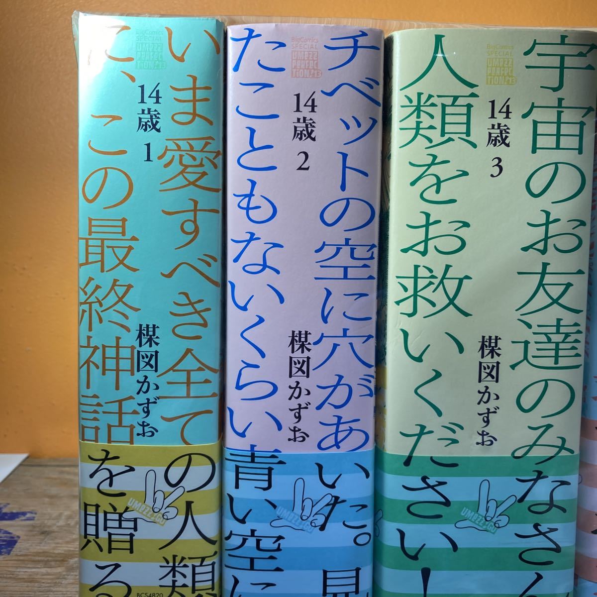 全巻初版帯付き 14歳 全4巻 楳図かずお 小学館 UMEZZ PERFECTION
