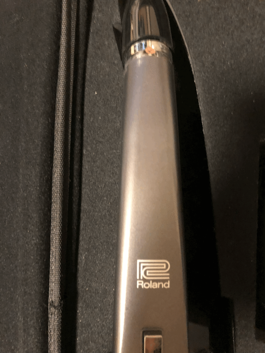 Roland AE-10G Aerophone デジタル管楽器 ローランド エアロフォン