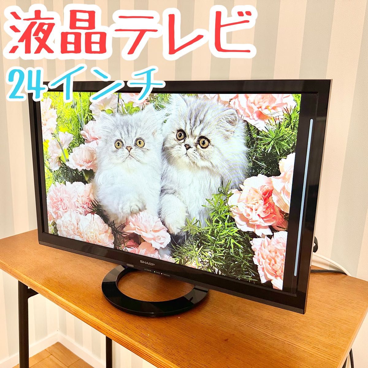 SHARP 液晶テレビ シャープ　19インチ　美品　1人暮らし　テレビ AQUOS