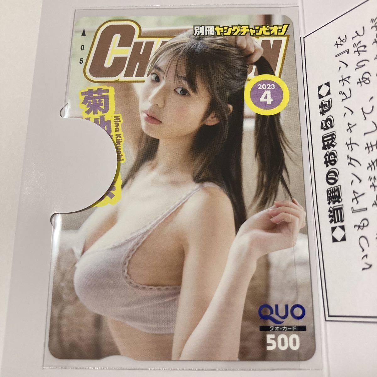 マーボーちゃん様専用 菊地姫奈 別冊ヤングチャンピオン 当選品 | europneumaq.com