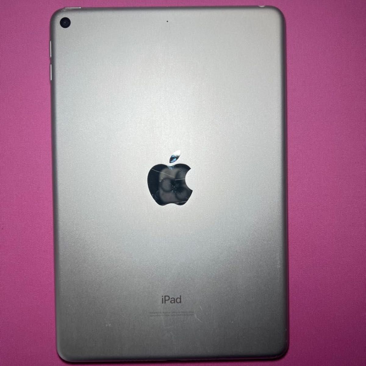 最終値下げ】iPad mini 5 256gb Apple Pencil付き-