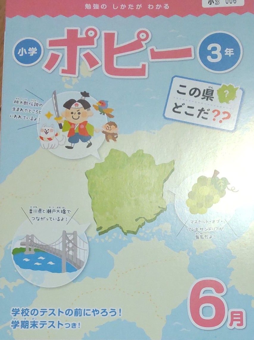 ポピー　小学3年生　小3　未記入　学期末テスト　6月