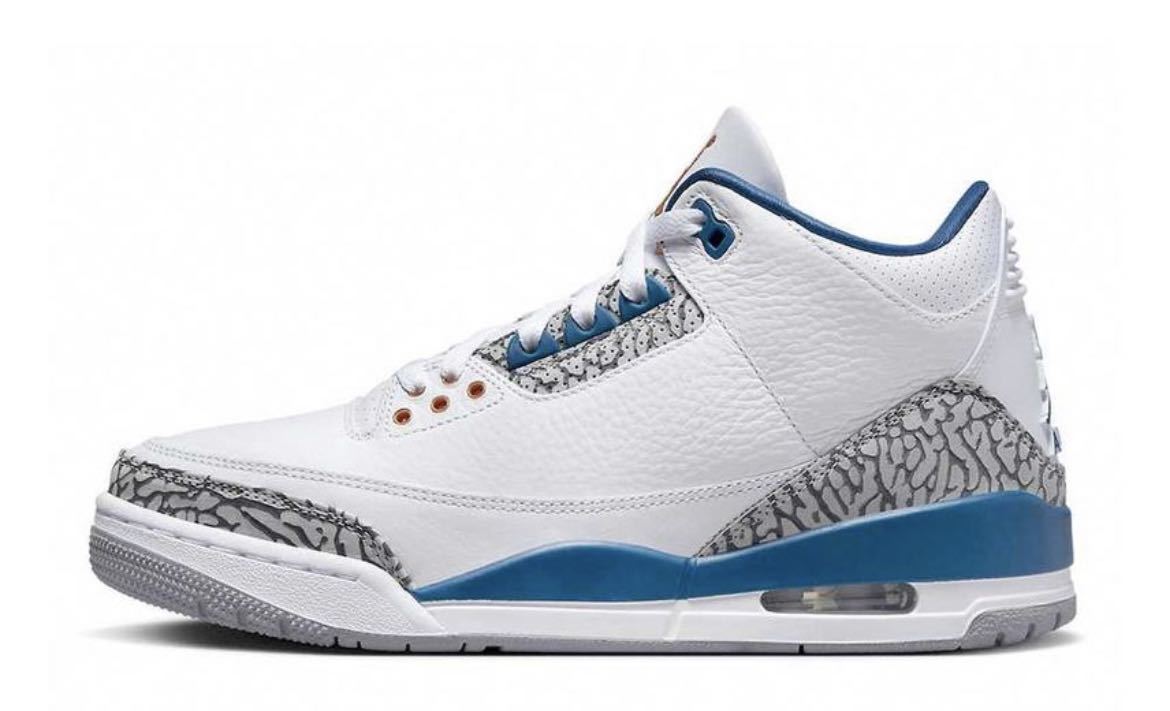 Nike Air Jordan 3 True Blue and Copper ナイキ エアジョーダン3