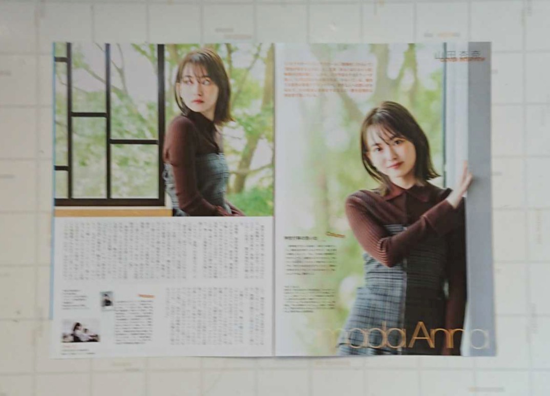 山田杏奈 2nd 写真集 BLUE サイン入り & 山田杏奈 表紙 山田杏奈 2nd 写真集 BLUE サイン入り & 山田杏奈 表紙