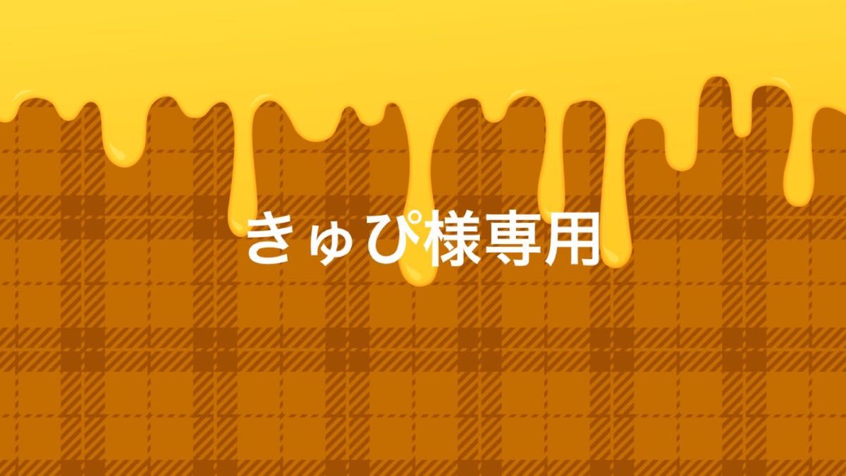 きゅぴ様専用