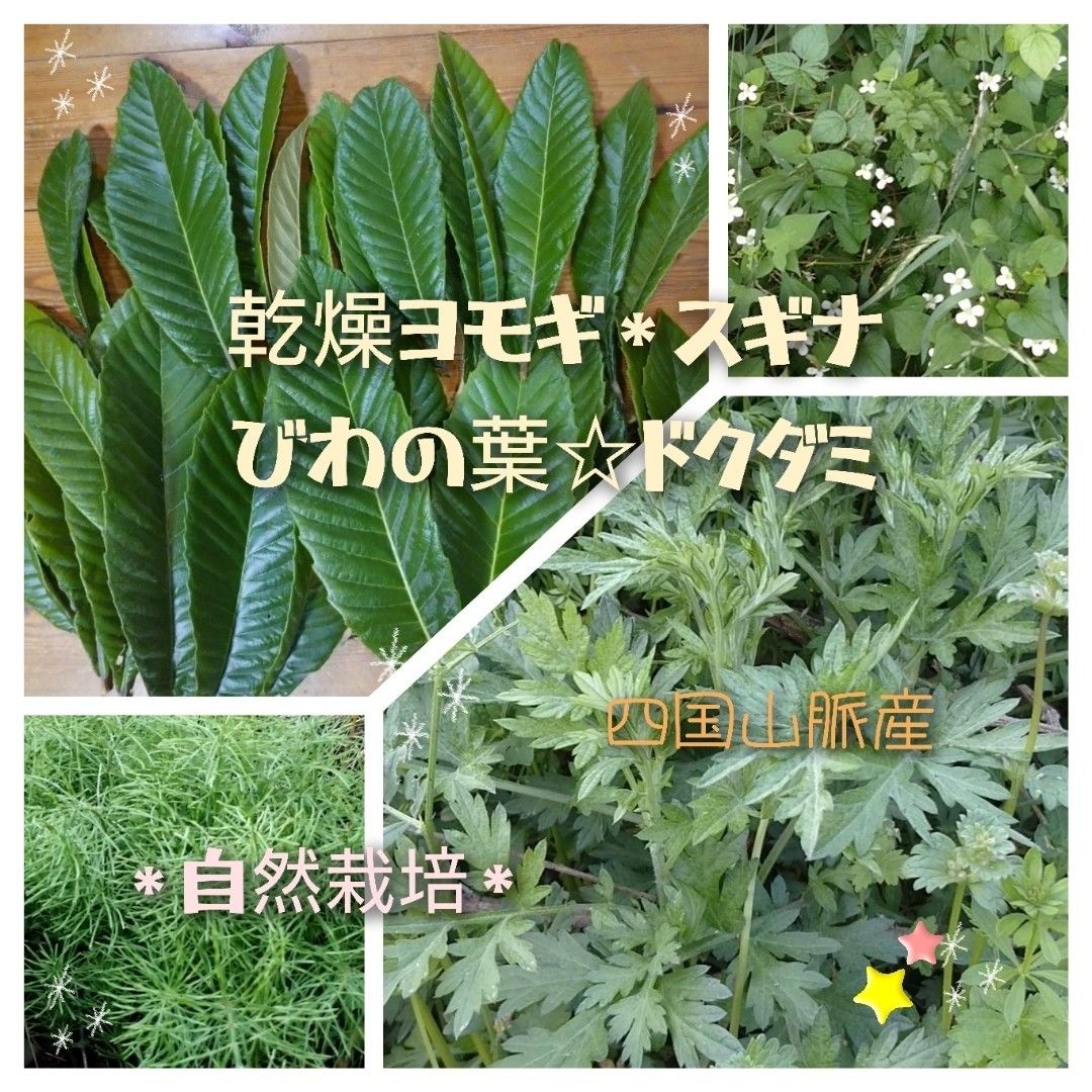 30パック*乾燥ヨモギ*スギナ*ドクダミ*びわ*自然栽培