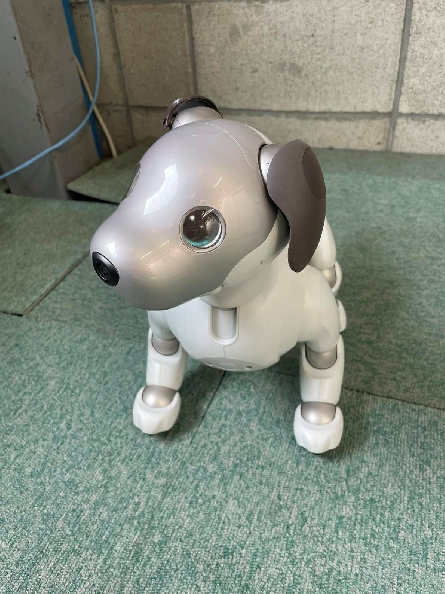 動作可 付属品無 SONY ERS-1000 aibo アイボ エンタテインメント 電動