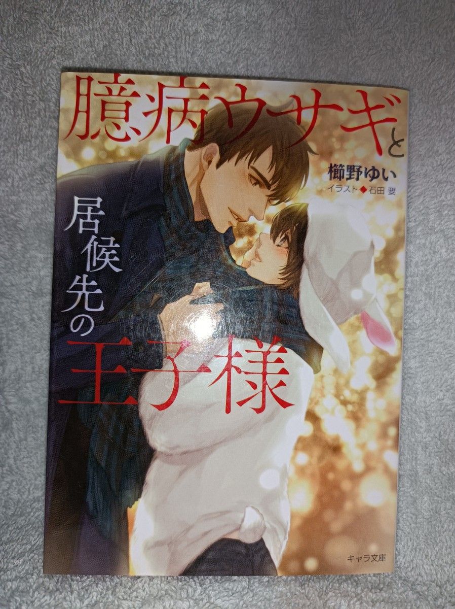 BL小説２冊セット【文庫本】　臆病ウサギと居候先の王子様　他‥