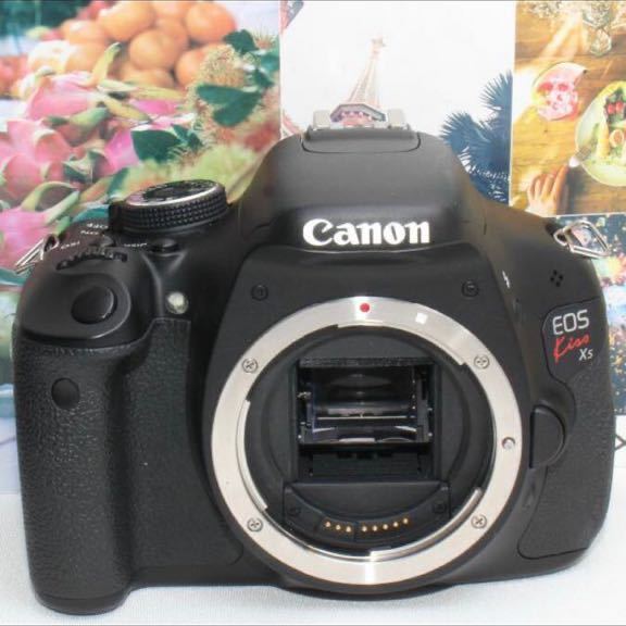 新品カメラバック付Canon EOS kiss x5 超望遠ダブルレンズ | alfasaac.com