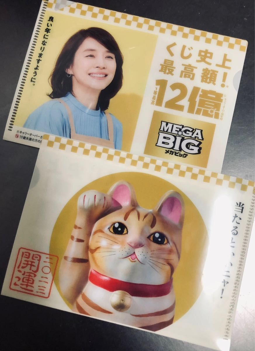 残り1セット　石田ゆり子 くじケース5枚セット & 宝くじ ナンバーズ くーちゃん2冊セット