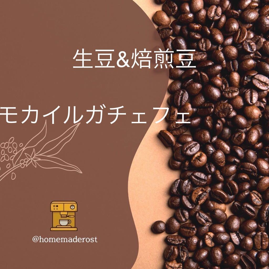 コーヒー豆 モカイルガチェフェ 生豆400g焙煎豆100g | www.qmsbrasil