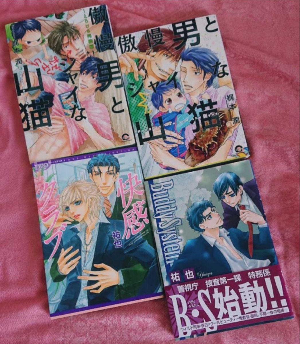 【送料無料】オススメＢＬ まとめ売り　19冊セット　人気作家さんばかり!　作家リストは、商品説明に記載しています。_画像6