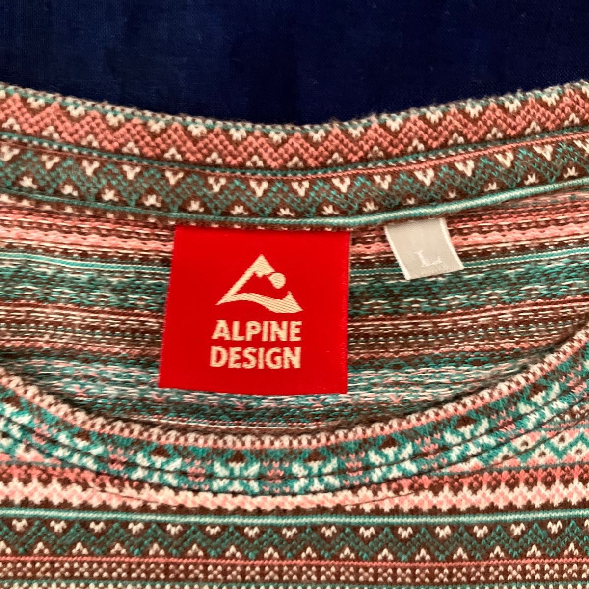 ALPINE DESIGN  Tシャツ