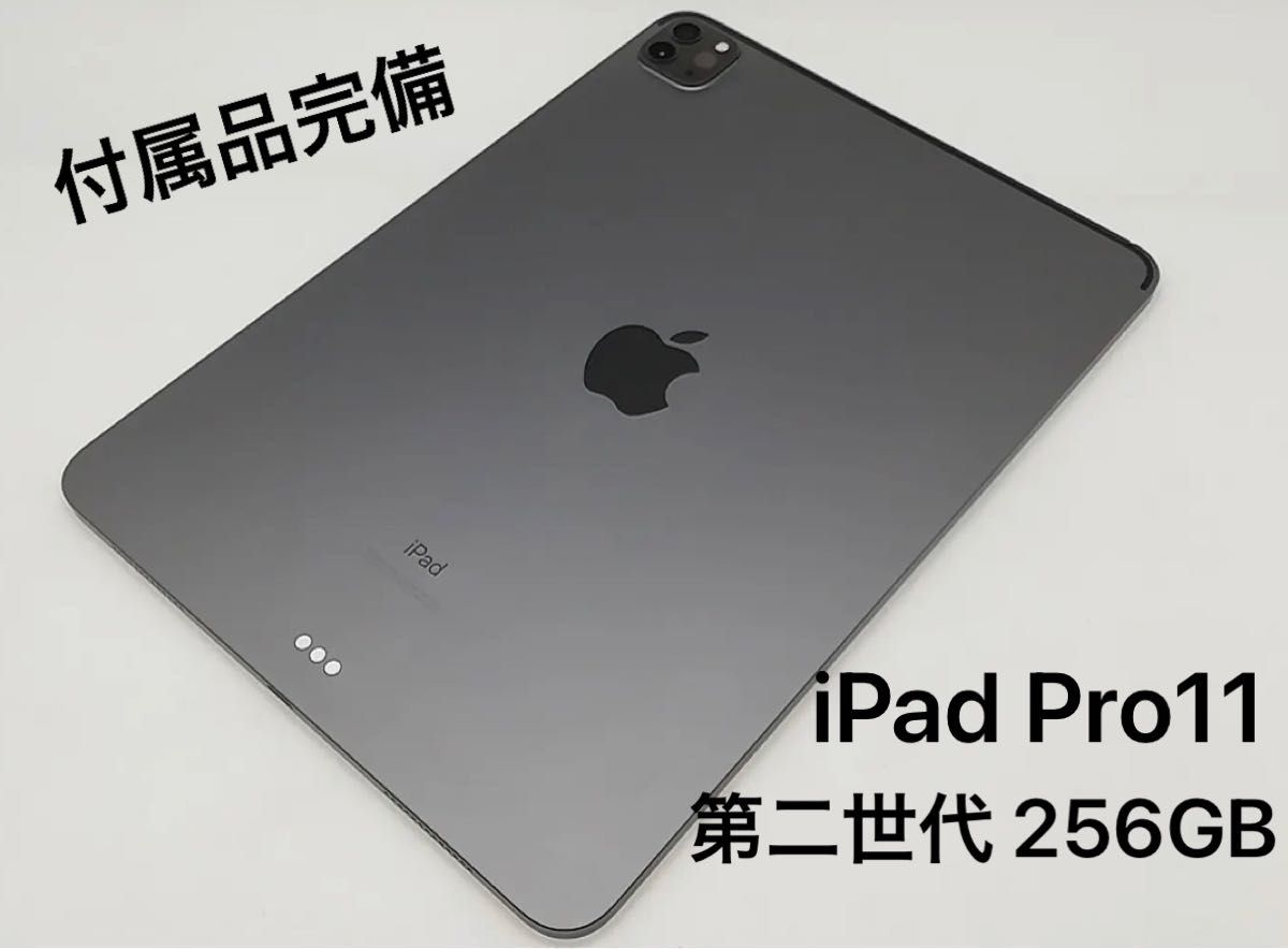 iPad Pro (第2世代)11インチ スペースグレー 256GB