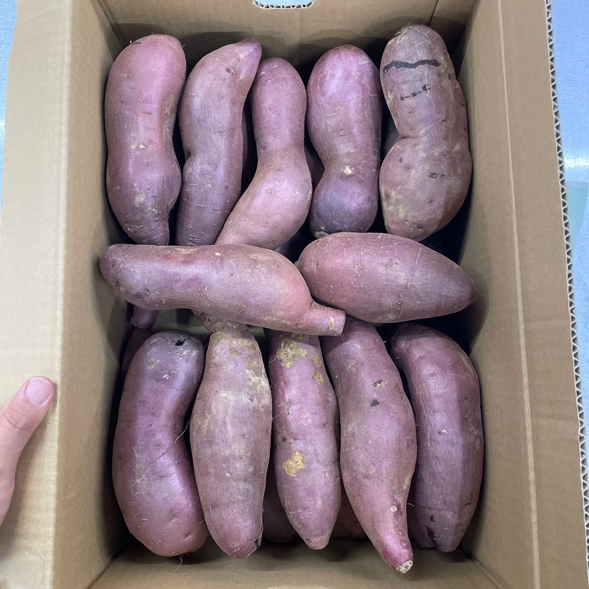 hiro様専用農薬紅はるか「さつまいも」 2Lサイズ 1じゃがいもは2kg(男爵、メークイン1kgずつ)、たまねぎ1kg