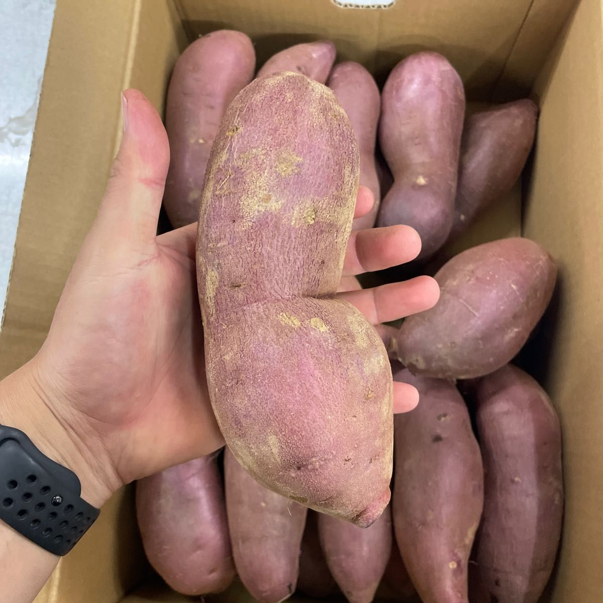 hiro様専用農薬紅はるか「さつまいも」 2Lサイズ 1じゃがいもは2kg(男爵、メークイン1kgずつ)、たまねぎ1kg
