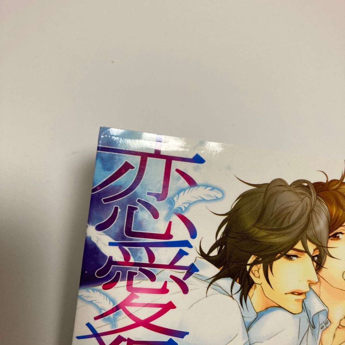 凪良ゆう BL小説 10冊セット 恋愛犯 : love holic 文学・小説 凪良ゆう BL小説 10冊セット 恋愛犯 : love holic 文学・小説