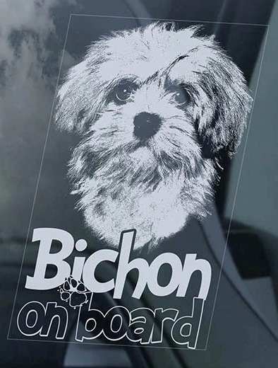 ◆BICHON ビション 系=ビションフリーゼ マルチーズ ハバニーズ ボロニーズ コトン 16 x 10cm 外張り@カーステッカー@外貼り@シール 犬 D1_画像2