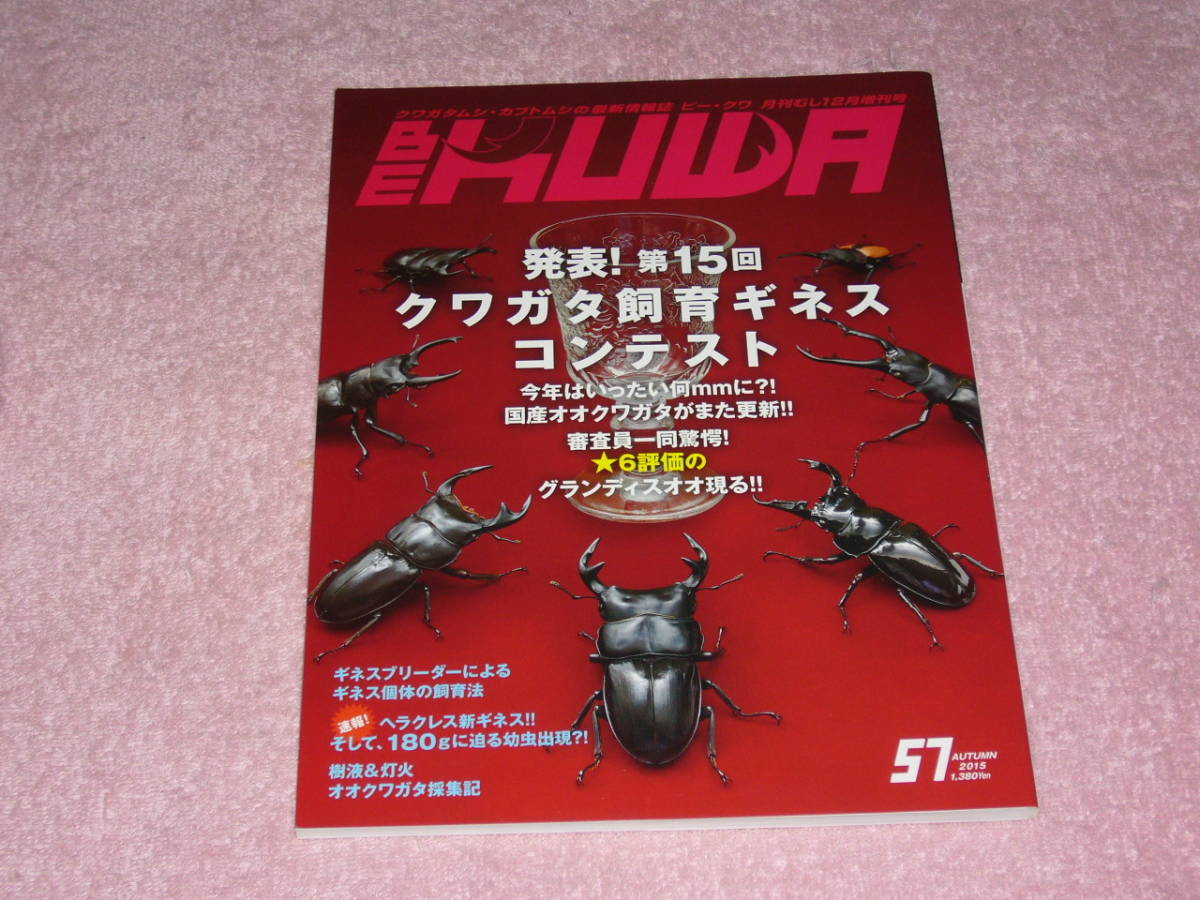 BE KUWA ビークワ No.57 発表!第15回クワガタ飼育ギネスコンテスト