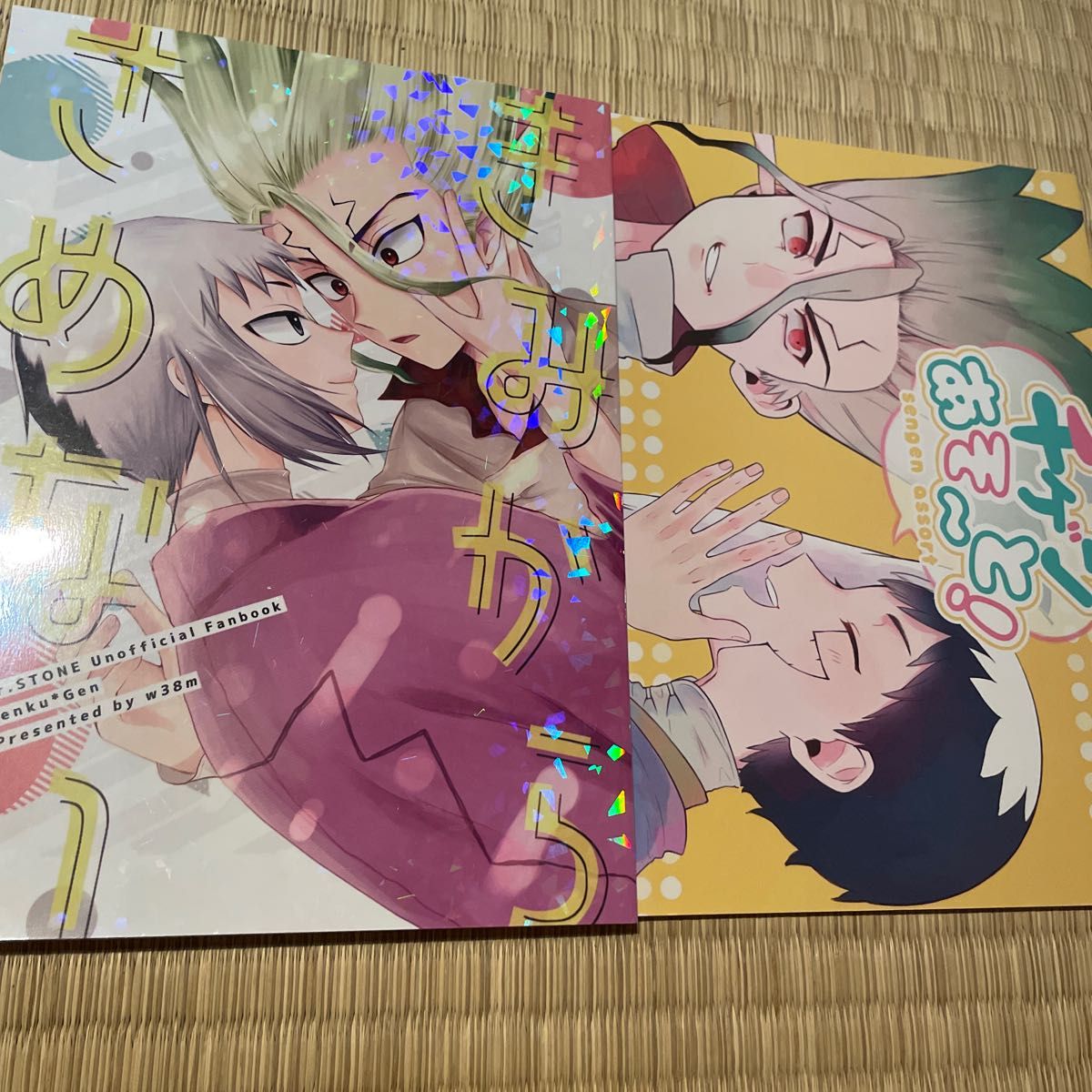 Dr STONE 同人誌 まとめ売り 石神千空 あさぎりゲン|Yahoo Dr STONE 同人誌 まとめ売り 石神千空 あさぎりゲン|Yahoo