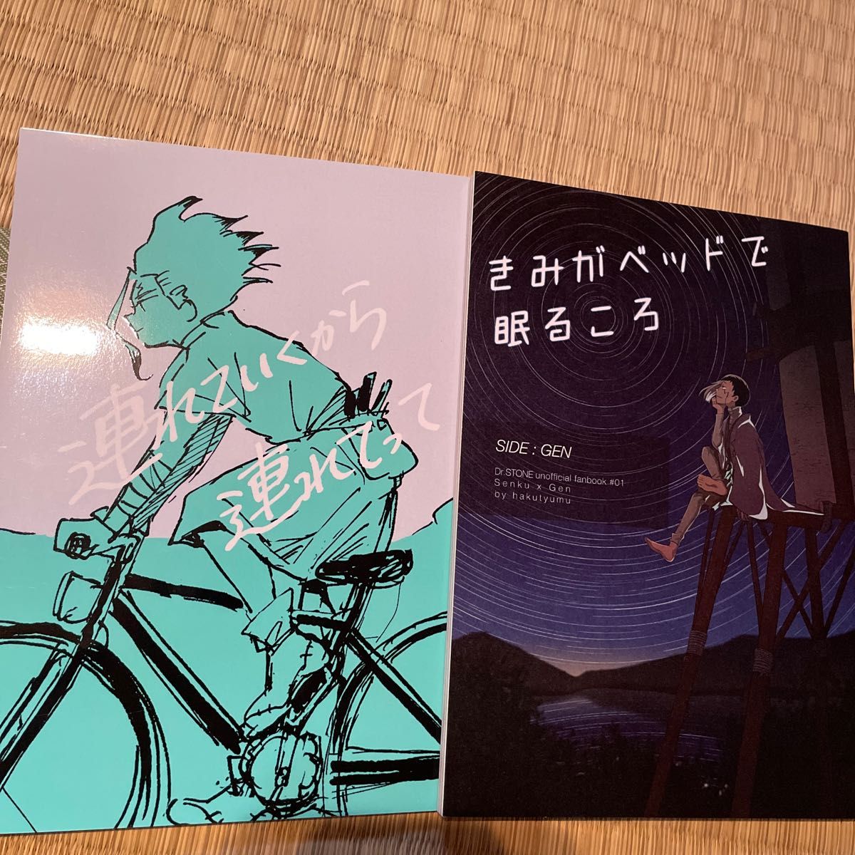 Dr STONE 同人誌 石神千空 あさぎりゲン まとめ売り|Yahoo Dr STONE 同人誌 石神千空 あさぎりゲン まとめ売り|Yahoo