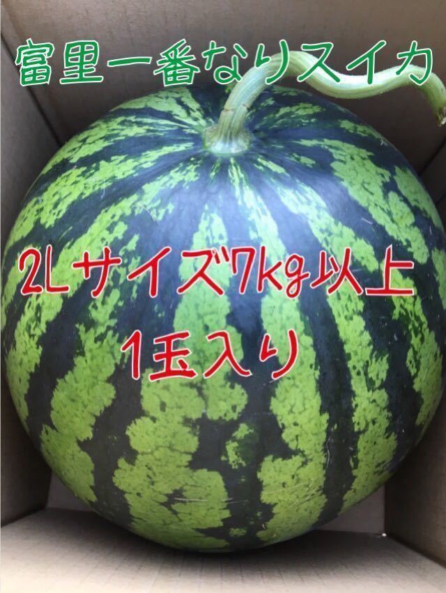 よさん様専用富里1番なりスイカ味きらら2Lサイズ2玉入り-