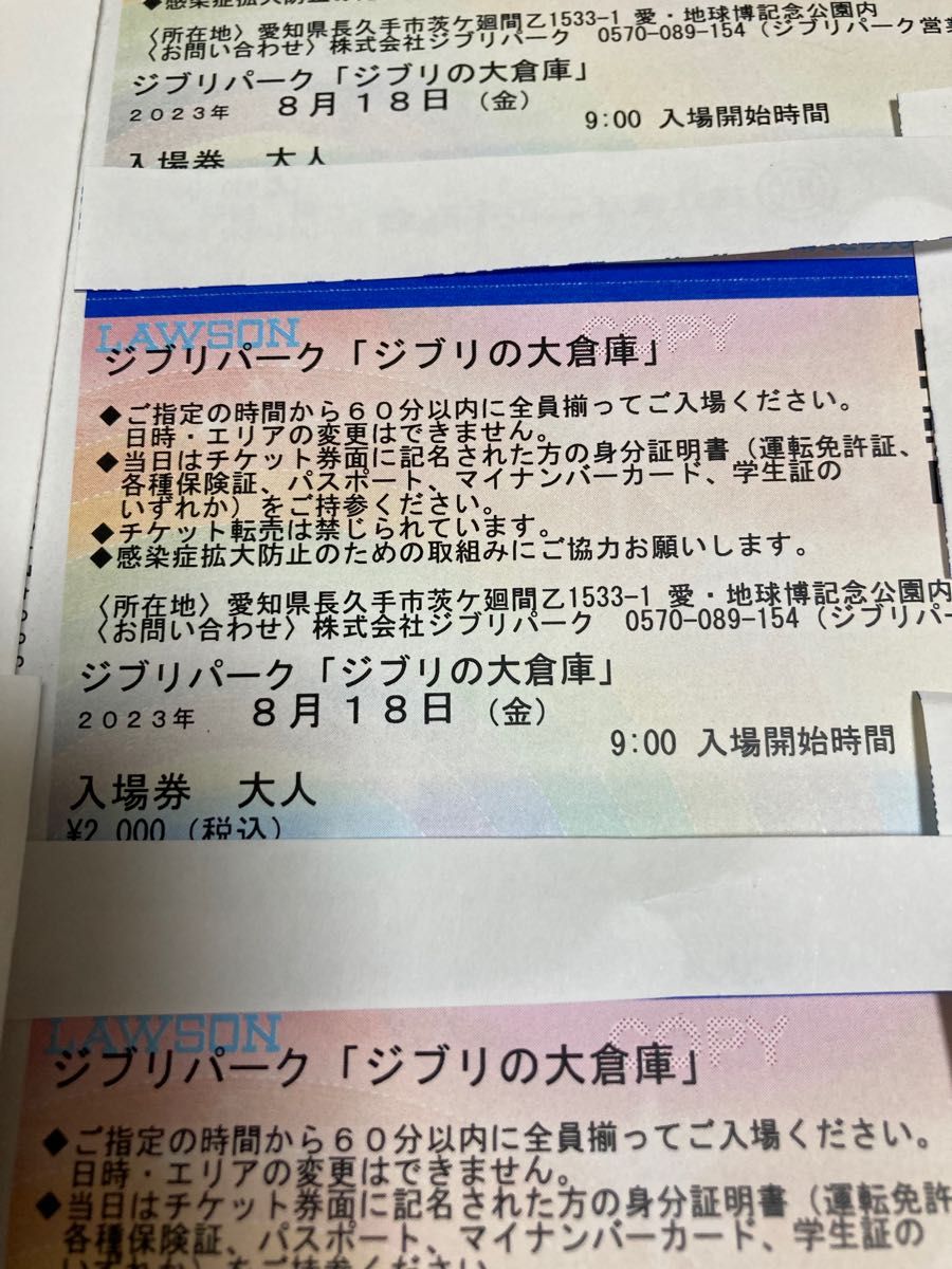 ジブリパークチケット「ジブリ大倉庫」 ３枚 8月18日 大人３枚｜Yahoo