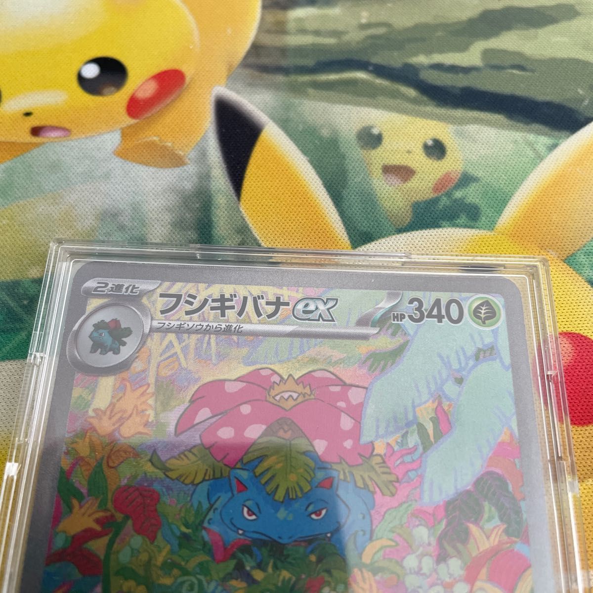 ポケカ151 リザードンsar フシギバナsar 進化前6枚セット 美品 ポケカ151 リザードンsar フシギバナsar 進化前6枚セット 美品