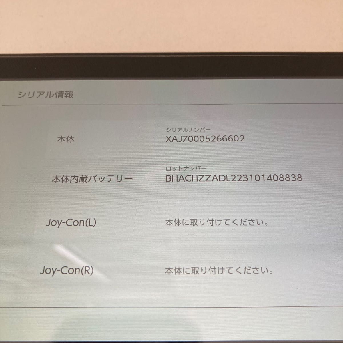 初代 Nintendo Switch 2016年式 動作確認済み 未対策機 任天堂 初代 Nintendo Switch 2016年式 動作確認済み 未対策機 任天堂