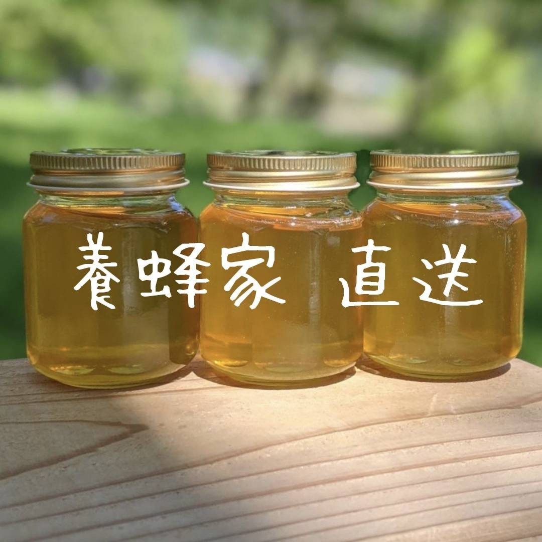 日本蜜蜂の蜂蜜 ×4本 純粋生蜂蜜 非加熱 宮城県産   通販