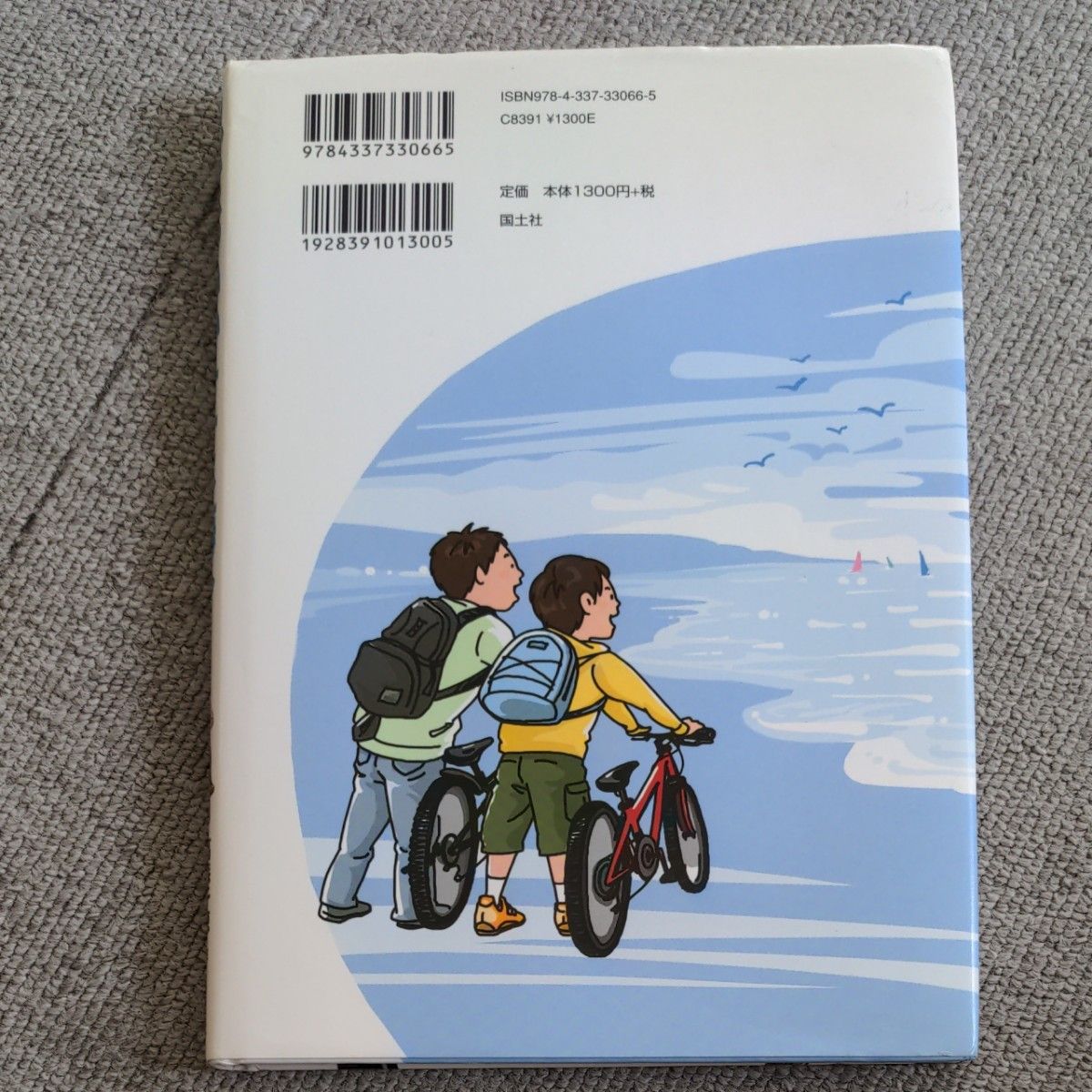 風をおいかけて、海へ 読書感想文 児童書