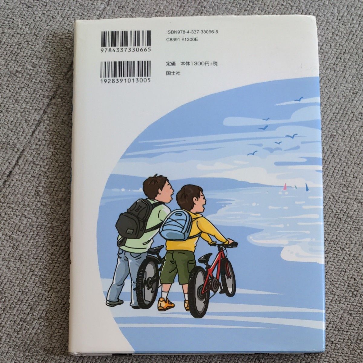 風をおいかけて、海へ　　読書感想文　児童書