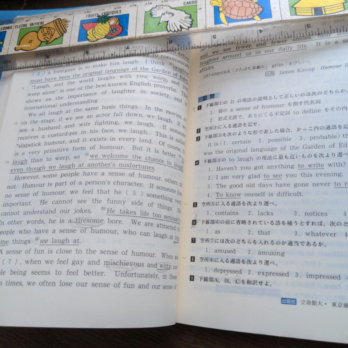 基礎英語長文問題精講 （改訂版） 中原道喜／著