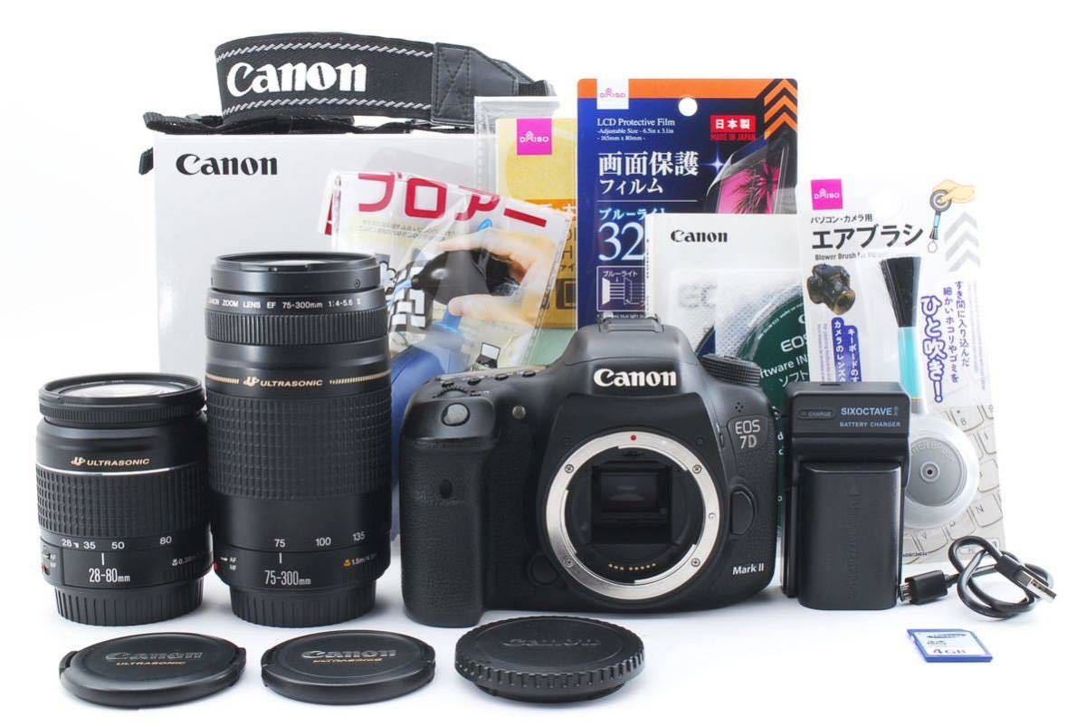 大特価 美品 CANON 75-300㎜☆905☆ EF 標準&望遠ダブルレンズセット