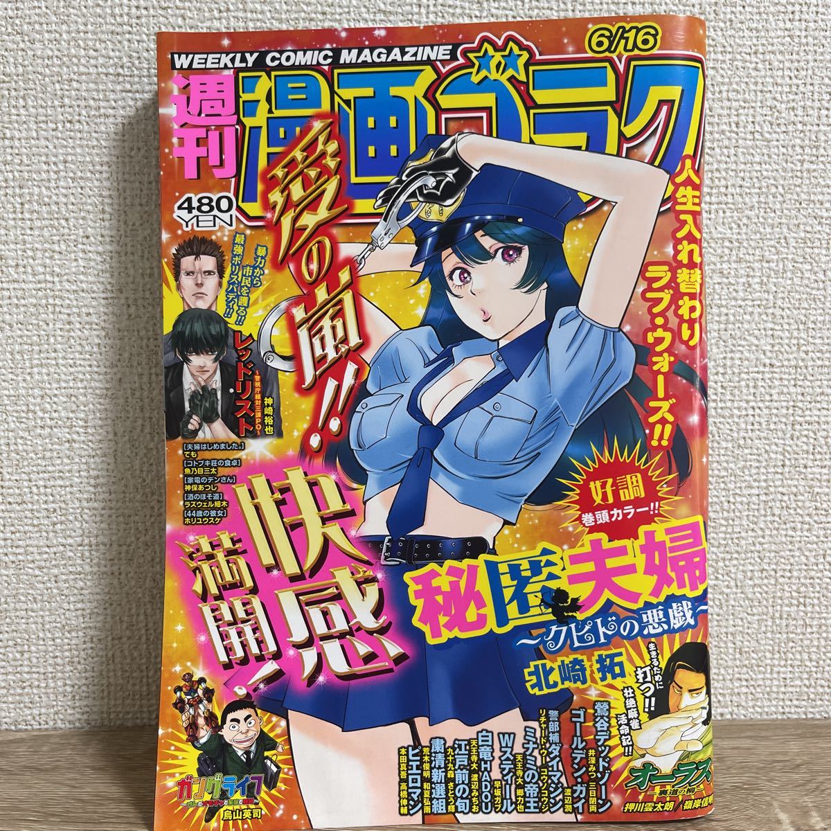 週刊 漫画ゴラク 2023年6月16日 | gazebogroup.ae