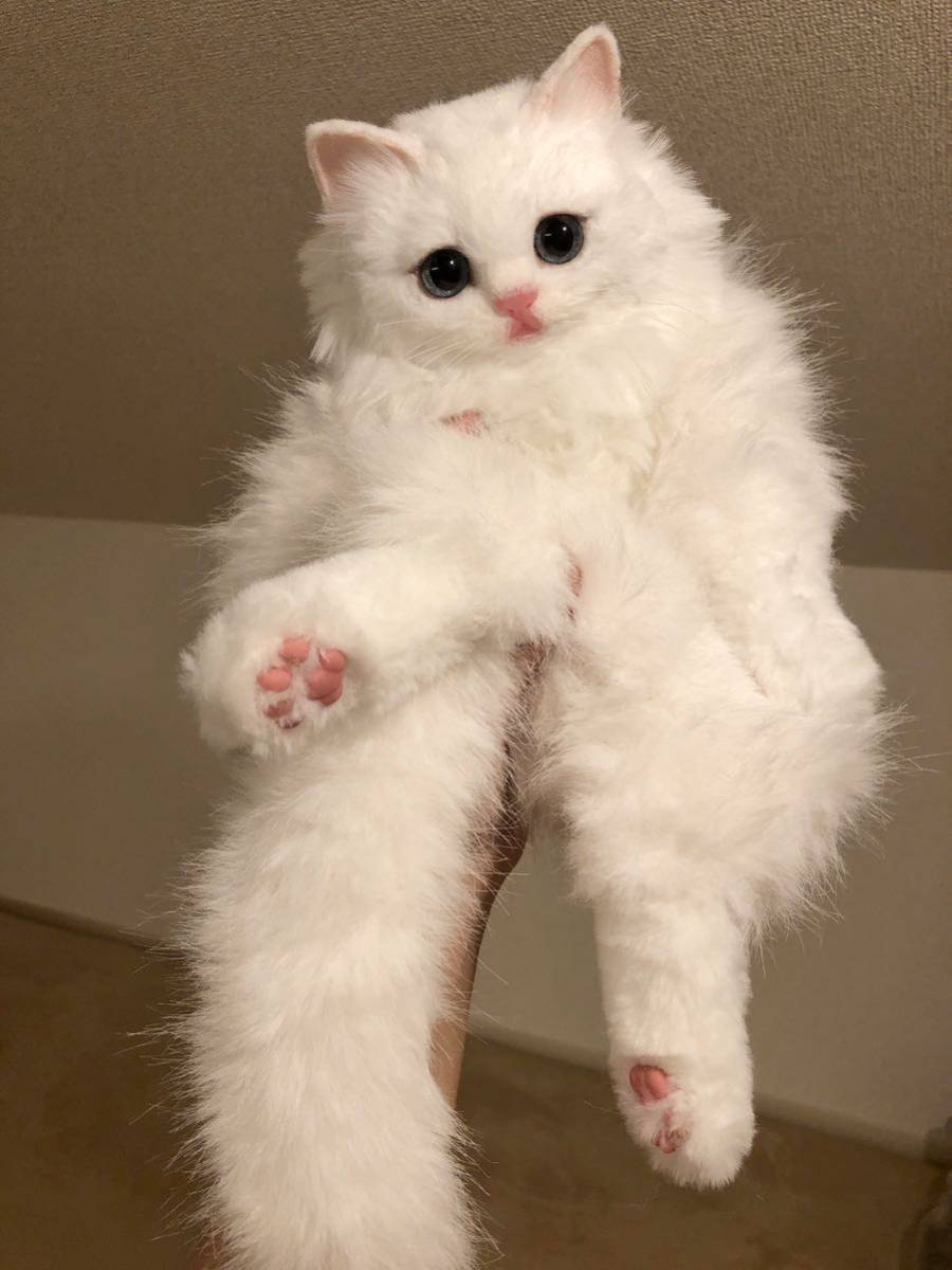 Yahoo!オークション - ochamemo アートドール ぬいぐるみ 猫 Yahoo!オークション - ochamemo アートドール ぬいぐるみ 猫