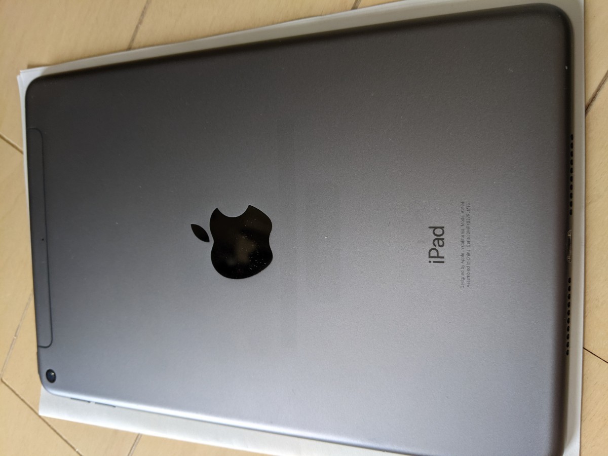 iPad mini 5 Wi-Fi + Cellular(第5世代/2019) Cellular 256GB
