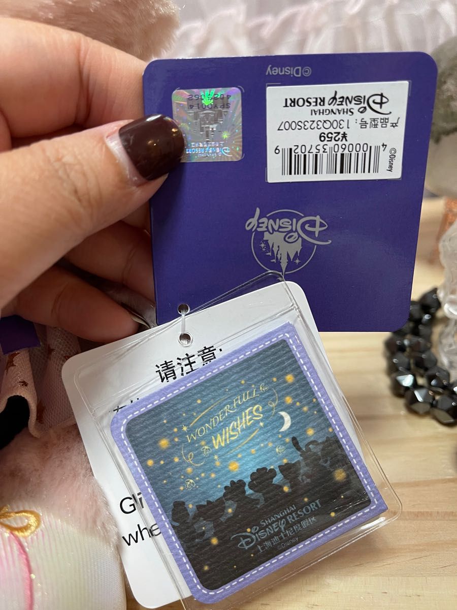 上海ディズニーランド 100周年 リーナベルぬいぐるみSS 写真の子 明日