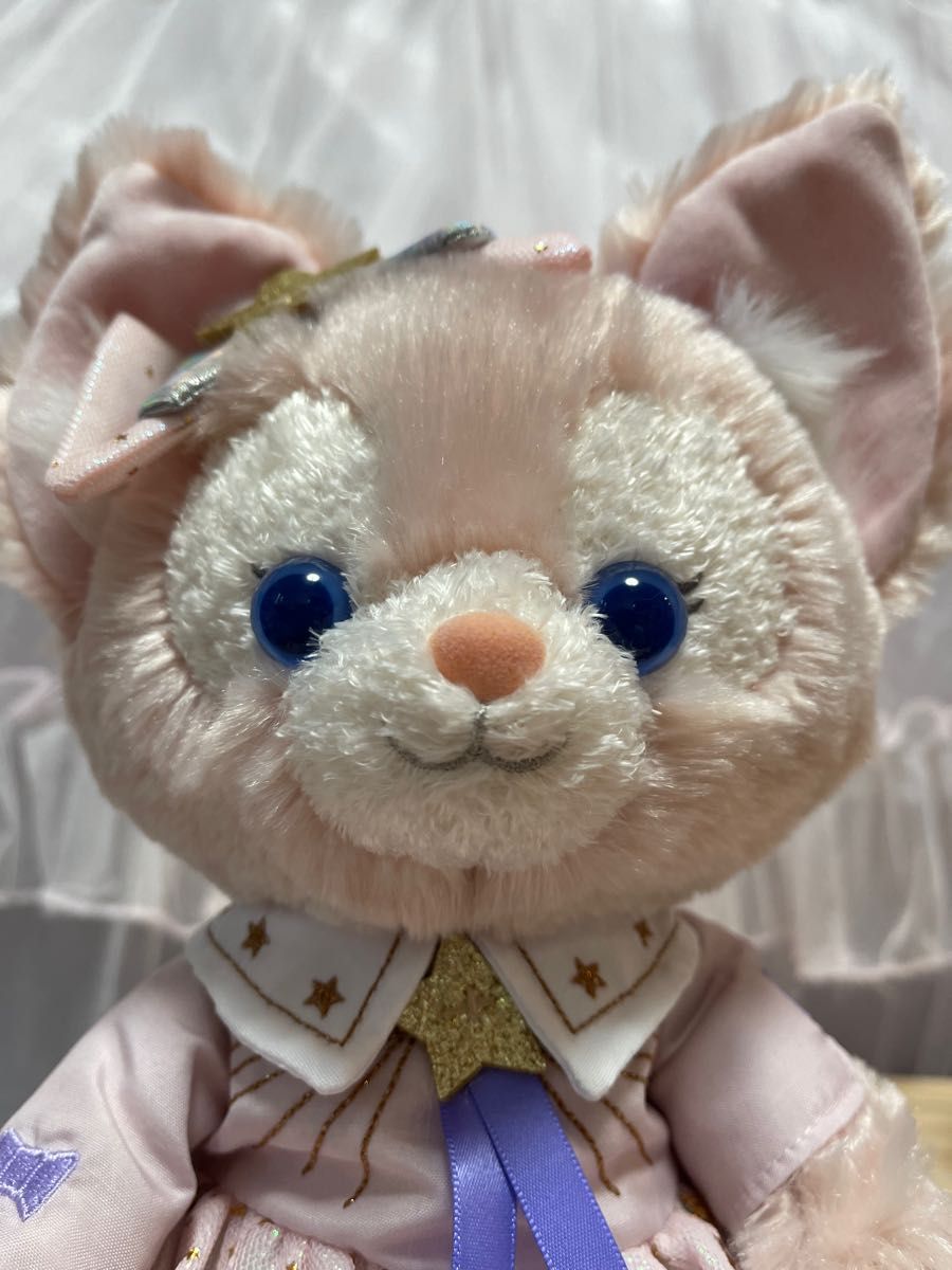 上海ディズニーランド 100周年 リーナベルぬいぐるみSS 写真の子 明日