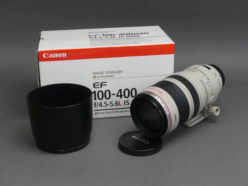 感動を望遠で！キヤノン Canon 望遠レンズ EF100-300mm - レンズ