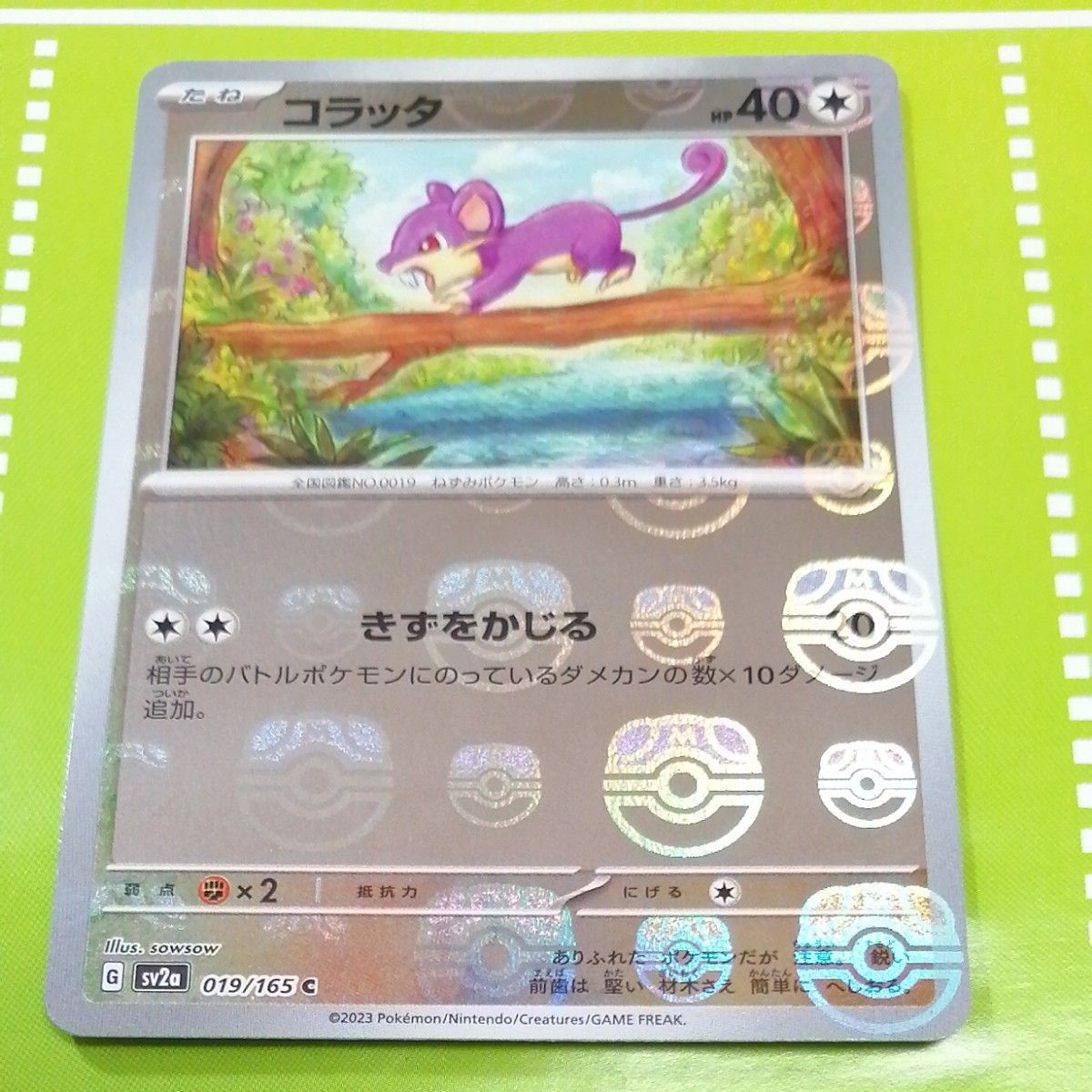 (なおや様専用)コラッタ+ニドリーナ マスターボールミラー 151