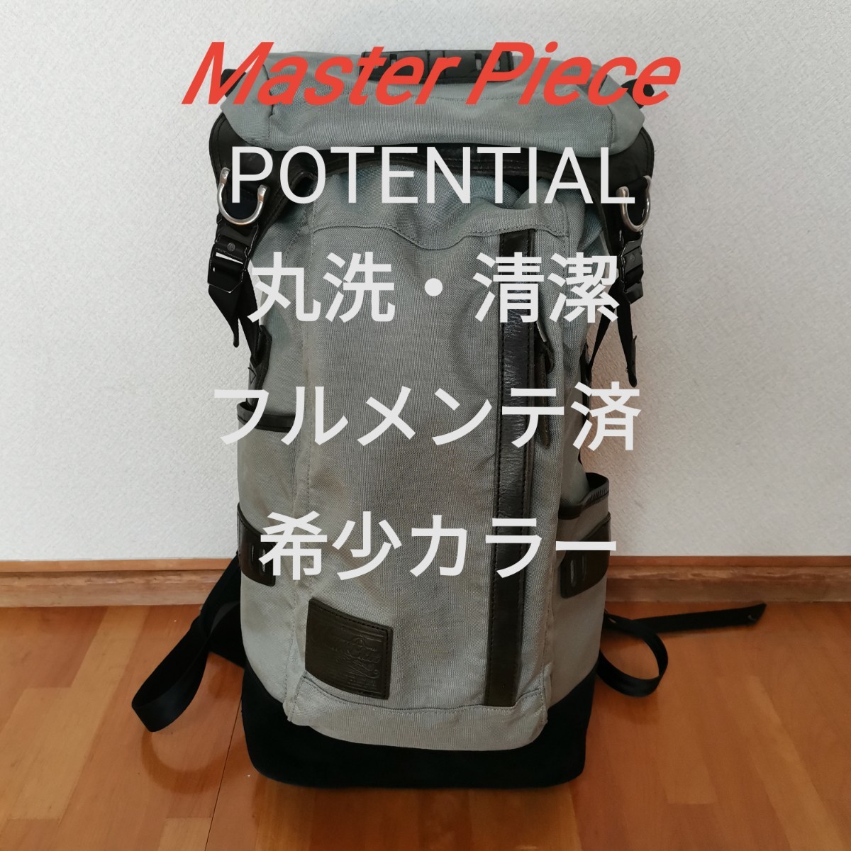 丸洗・清潔・フルメンテナンス】Master Piece Potential 希少カラー