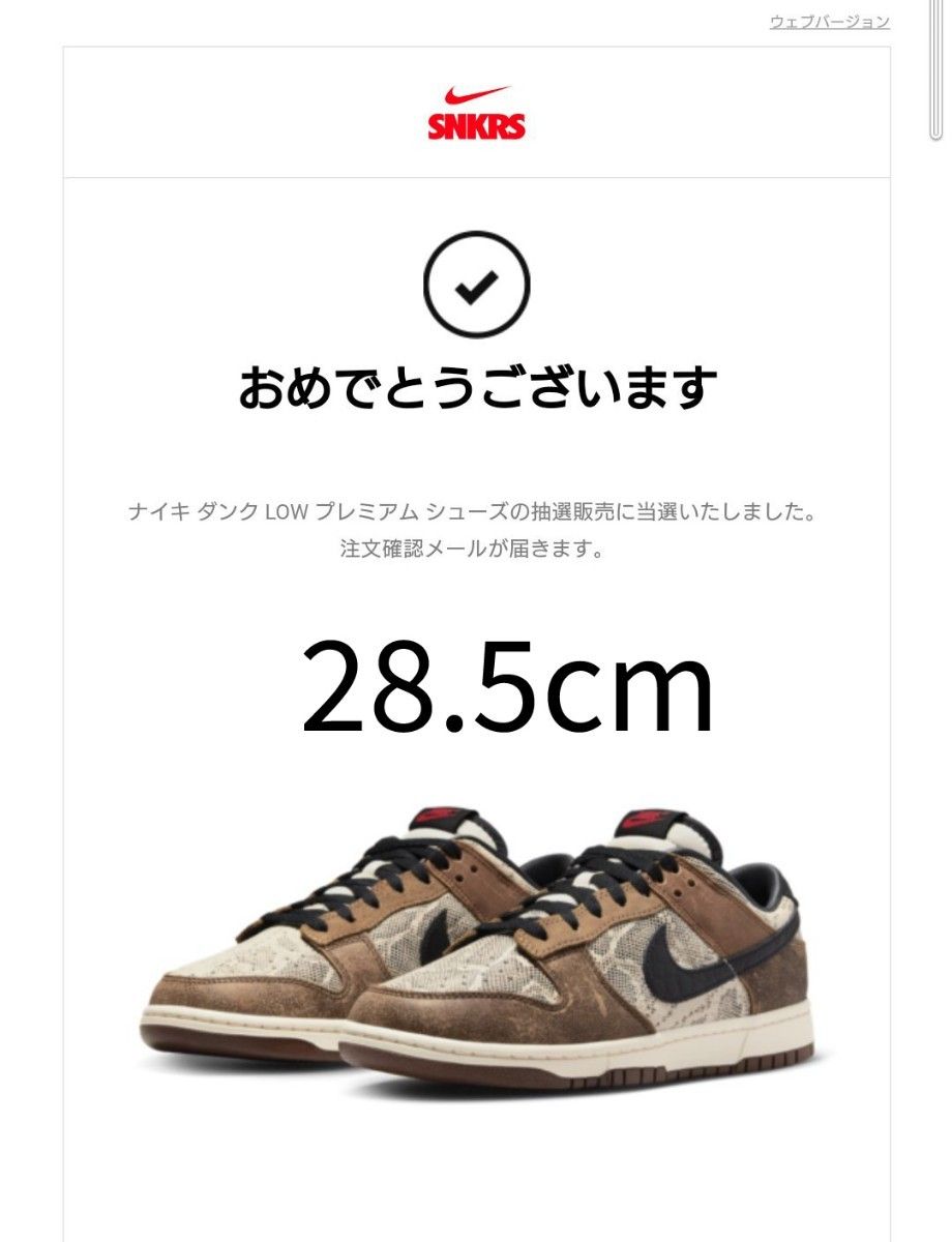 NIKE dunk low Head 2 Head 28.5 camping.com