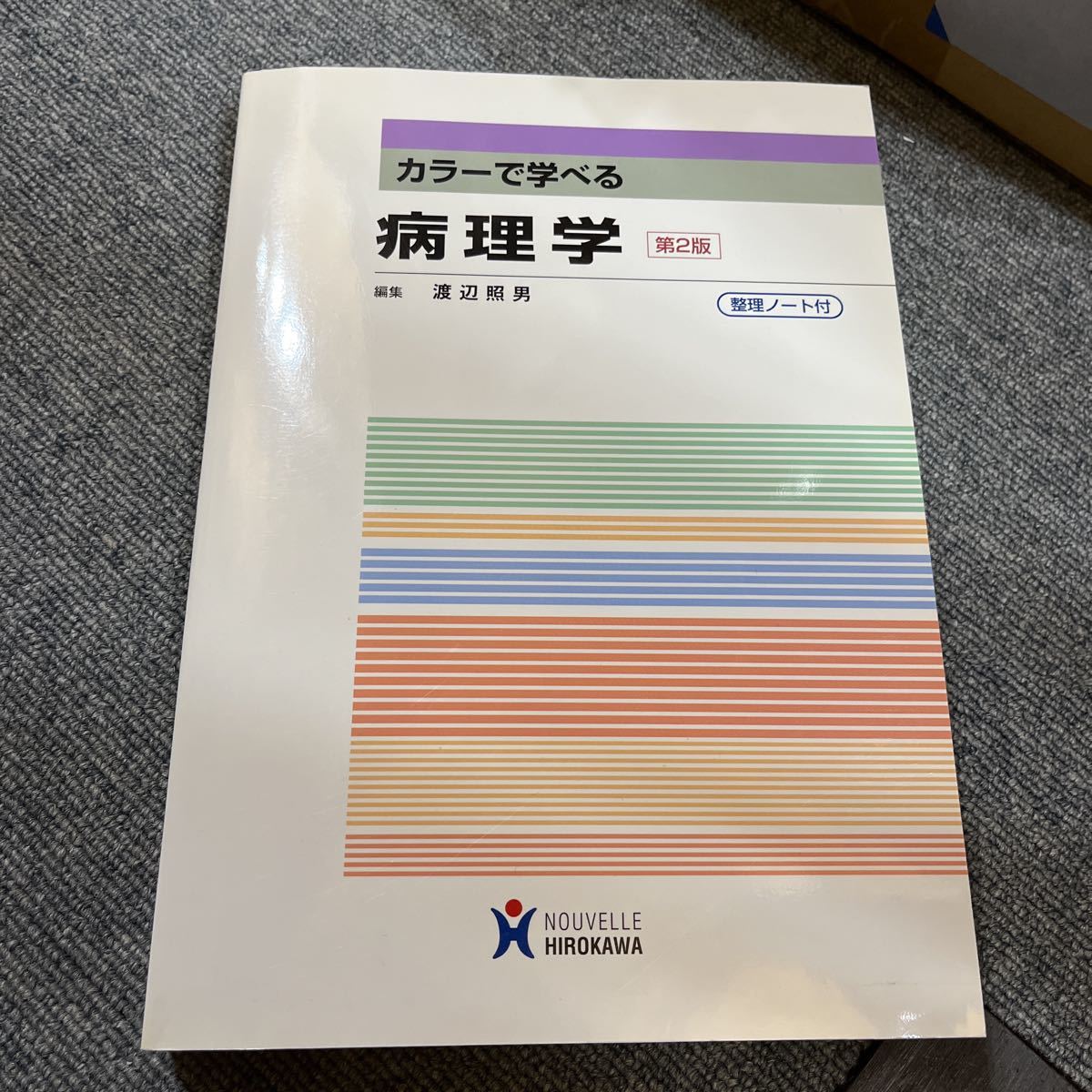 カラーで学べる病理学 整理ノート付／渡辺照男 (著者)